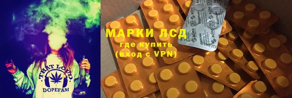 шишки Билибино