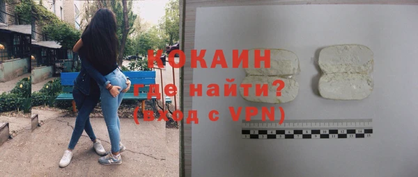 СК Новозыбков