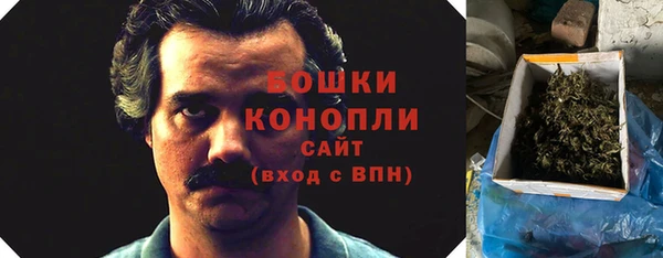 СК Новозыбков