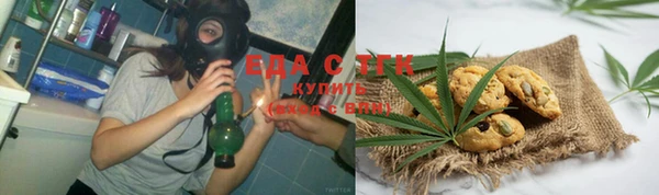 СК Новозыбков