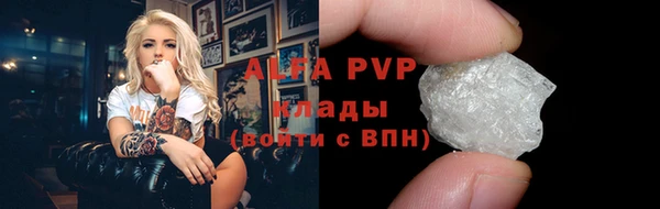 шишки Билибино