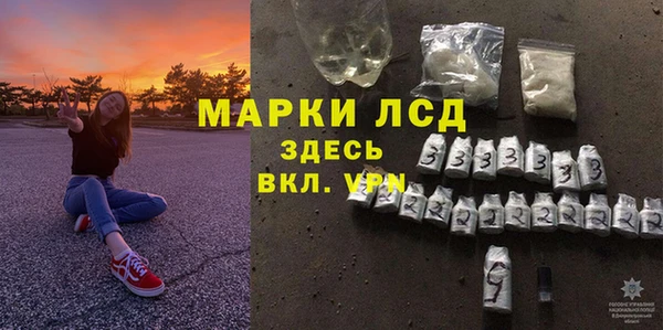 СК Новозыбков