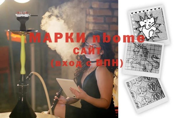 СК Новозыбков