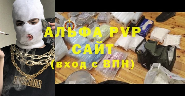СК Новозыбков