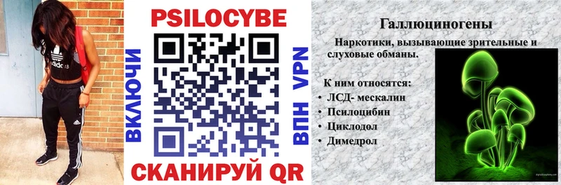 Галлюциногенные грибы мицелий  наркошоп  Боровичи 