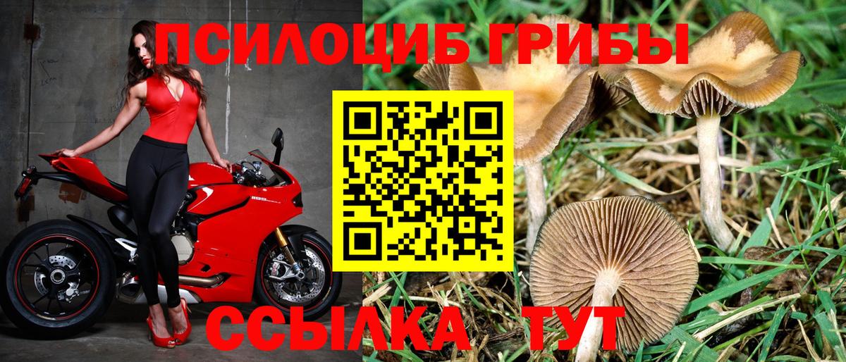 Псилоцибиновые грибы ЛСД  Псилоцибиновые грибы прущие грибы  Боровичи  Вход с VPN 