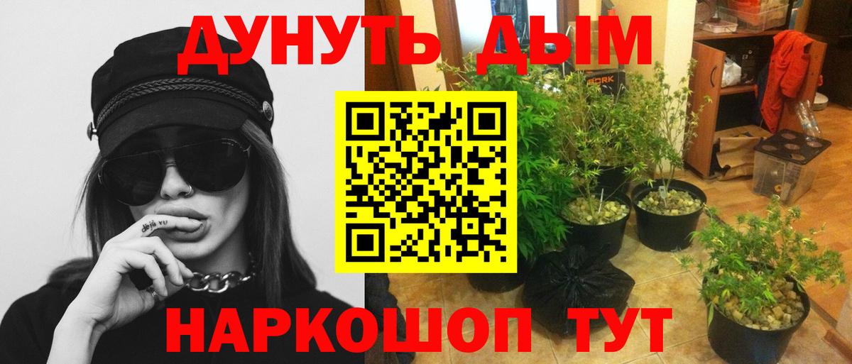 Каннабис марихуана  Вход с VPN  Боровичи  Каннабис планчик 